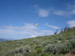DSC04165.JPG
