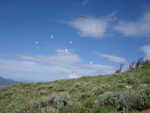 DSC04176.JPG