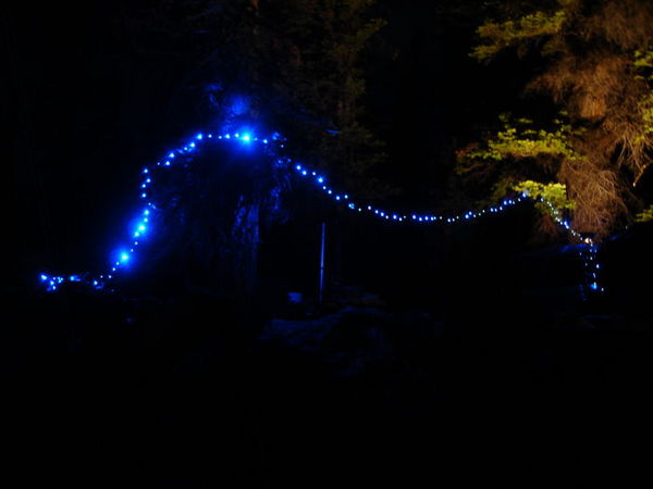 DSC04201.JPG