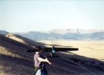 bungee