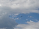 DSC01557