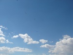 DSC01610