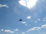DSC01617